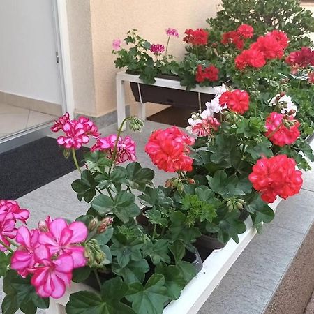 Apartment Marelja - Private Parking And Balcony Zadar Ngoại thất bức ảnh