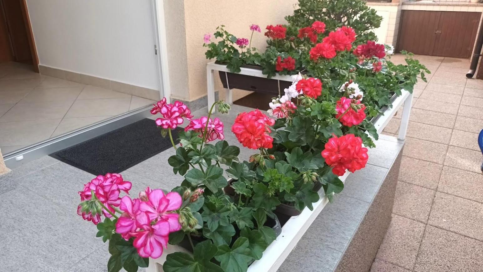 Apartment Marelja - Private Parking And Balcony Zadar Ngoại thất bức ảnh